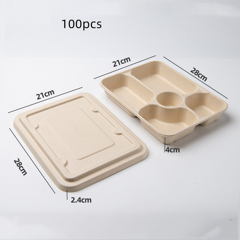 Disposable Biodegradable Lunch Box - 100 Pack