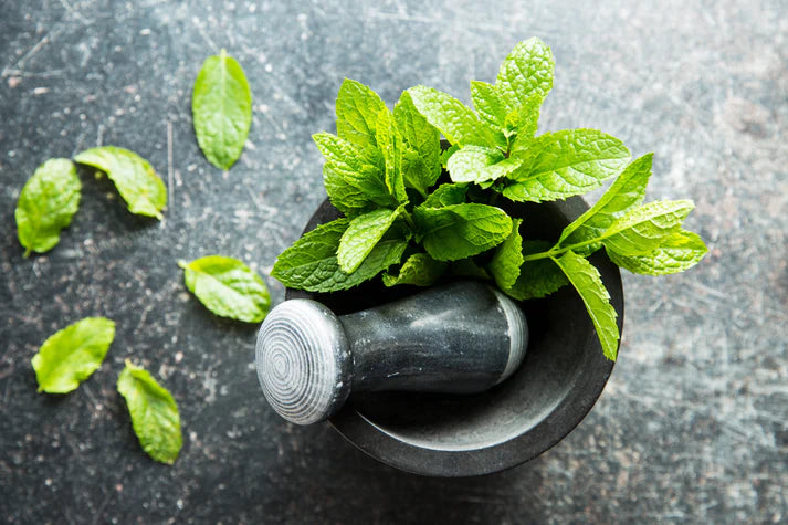 Natural Organic Solid Mint Toothpaste