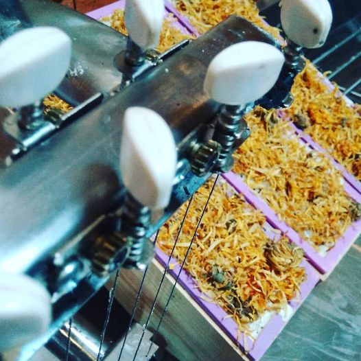 Organic Solid Soap - Sandalwood & Comfrey