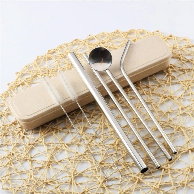 Stainless Steel Straw Set – 6 Pc with Brushes and Spoon