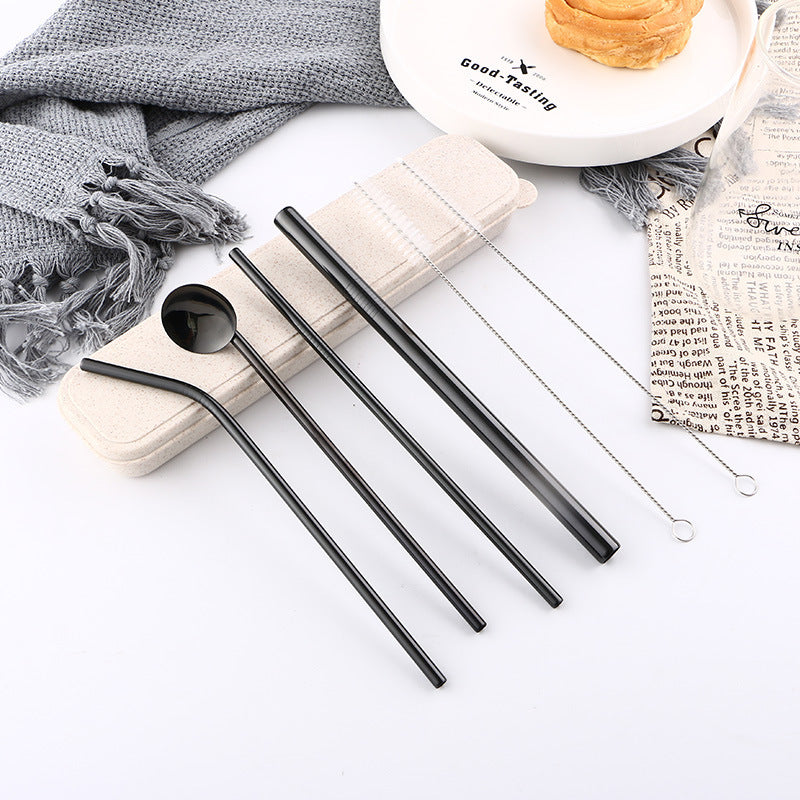 Stainless Steel Straw Set – 6 Pc with Brushes and Spoon