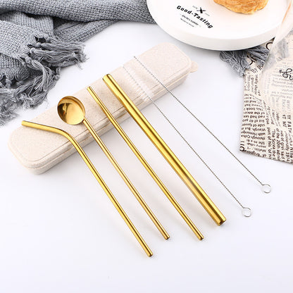 Stainless Steel Straw Set – 6 Pc with Brushes and Spoon