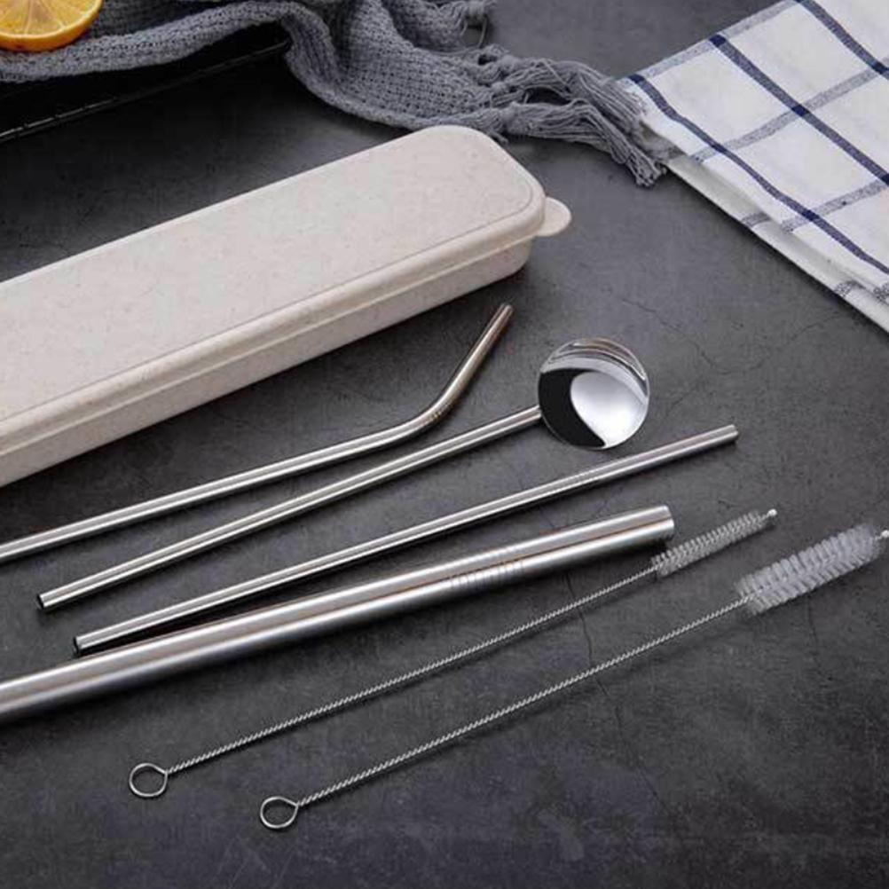 Stainless Steel Straw Set – 6 Pc with Brushes and Spoon