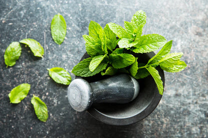 Natural Organic Solid Mint Toothpaste